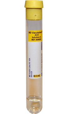 Top Tube